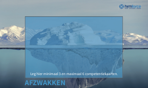 competentiespel voorbeeld